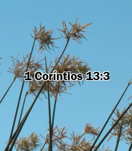 1 Coríntios 13:3
