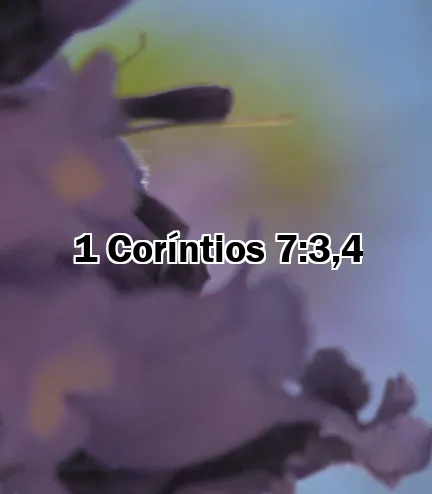 1 Coríntios 7:3,4