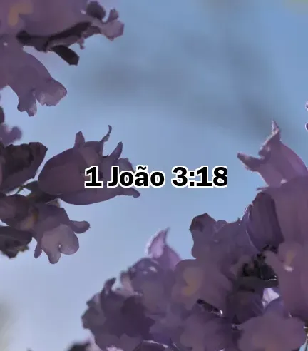 1 João 3:18