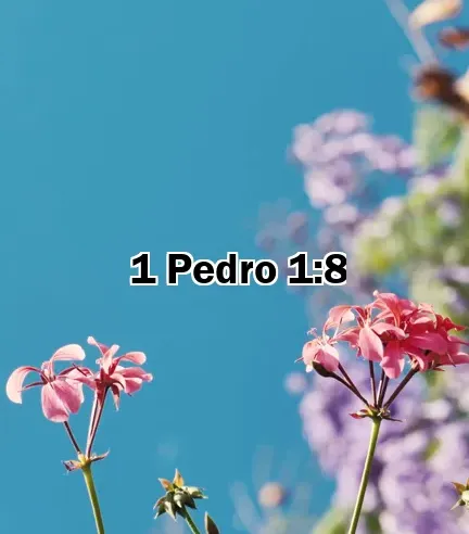 1 Pedro 1:8