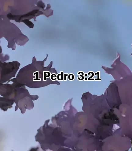 1 Pedro 3:21