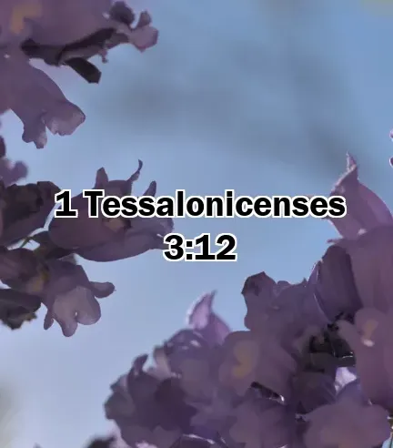 1 Tessalonicenses 3:12