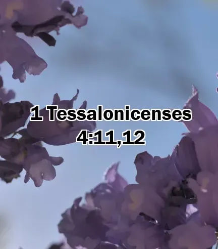 1 Tessalonicenses 4:11,12
