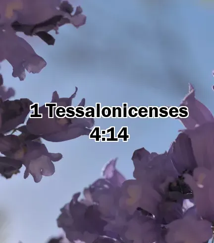 1 Tessalonicenses 4:14