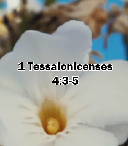 1 Tessalonicenses 4:3-5