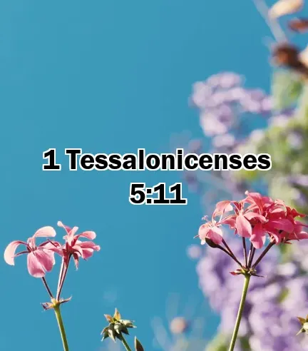 1 Tessalonicenses 5:11
