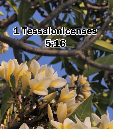 1 Tessalonicenses 5:16