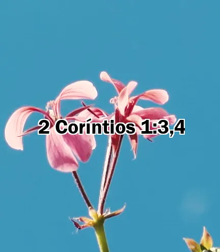 2 Coríntios 1:3,4