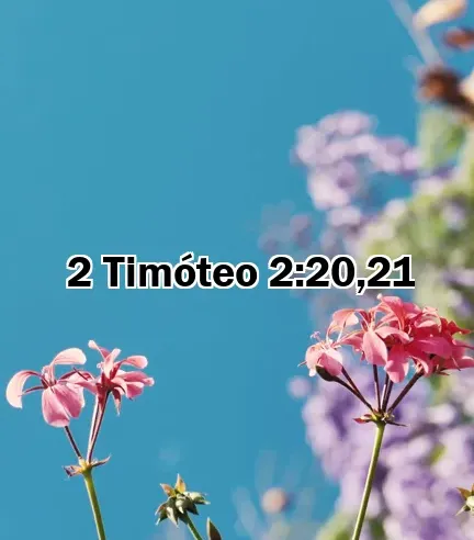 2 Timóteo 2:20,21