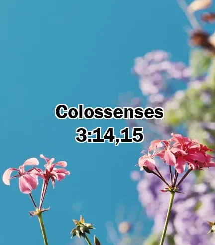 Colossenses 3:14,15
