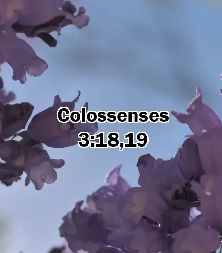 Colossenses 3:18,19