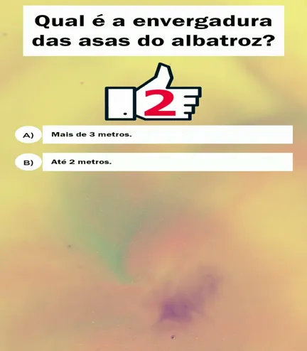 Descubra a impressionante envergadura das asas do albatroz!