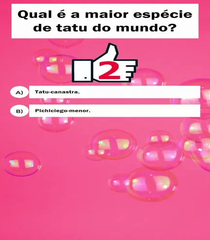 Descubra a maior espécie de tatu do mundo!