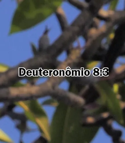 Deuteronômio 8:3