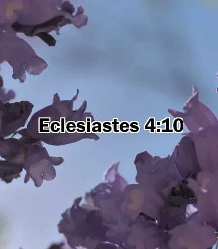 Eclesiastes 4:10