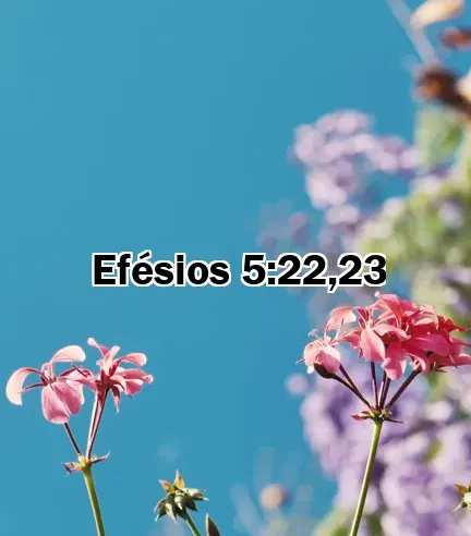 Efésios 5:22,23