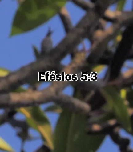 Efésios 5:3