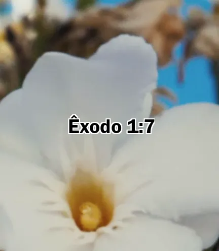 Êxodo 1:7