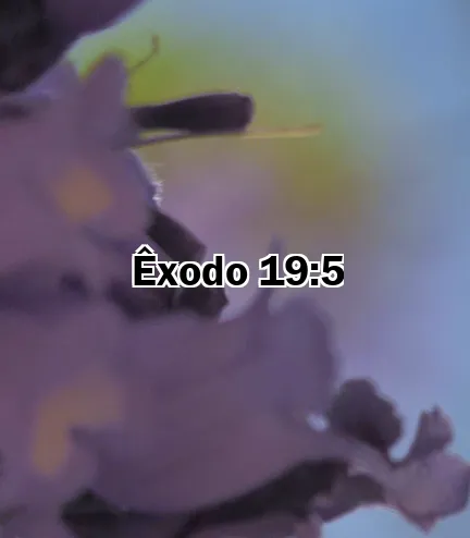 Êxodo 19:5