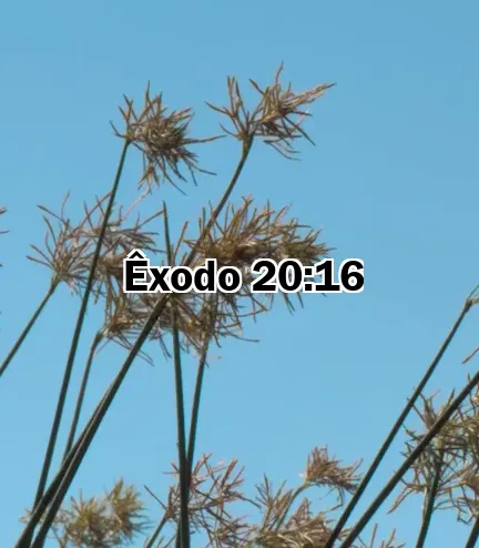 Êxodo 20:16