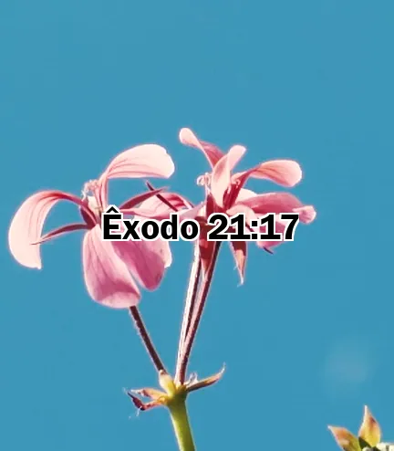Êxodo 21:17