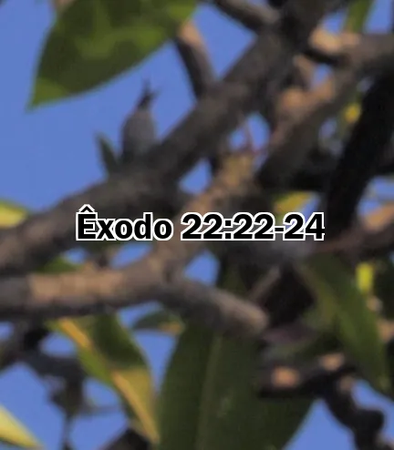 Êxodo 22:22-24