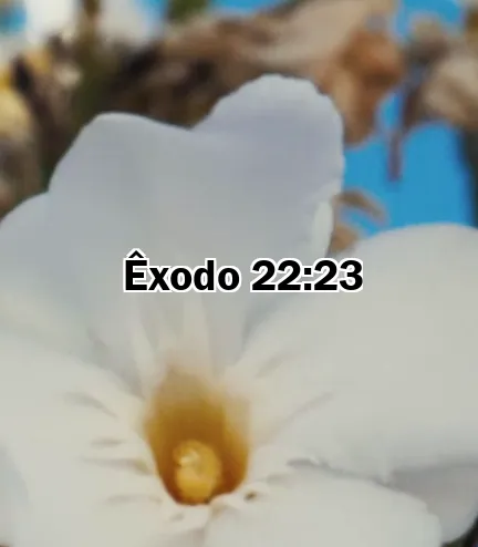 Êxodo 22:23