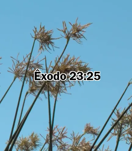 Êxodo 23:25