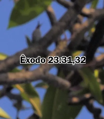 Êxodo 23:31,32