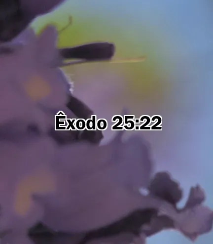 Êxodo 25:22