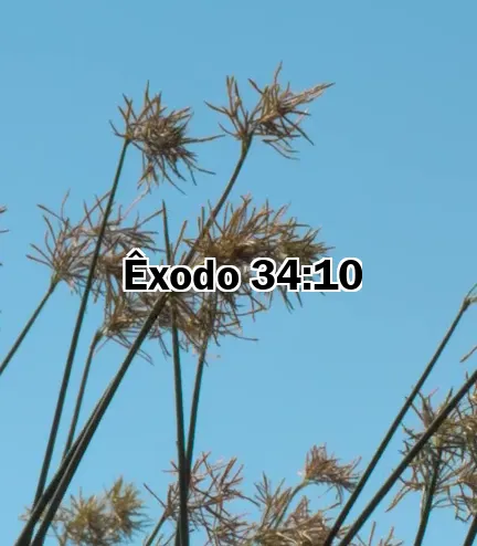 Êxodo 34:10