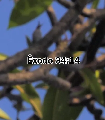 Êxodo 34:14