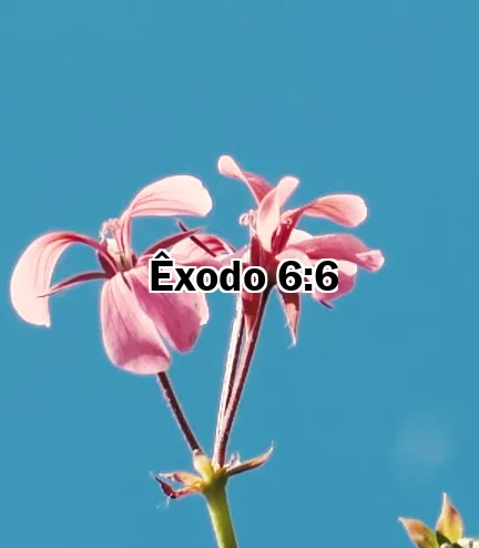 Êxodo 6:6