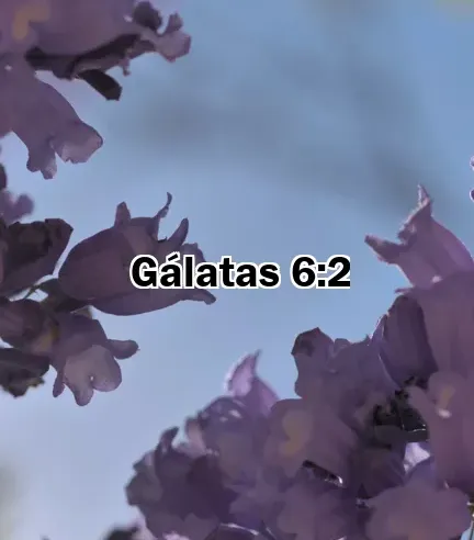 Gálatas 6:2