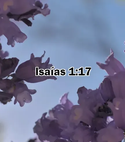 Isaías 1:17