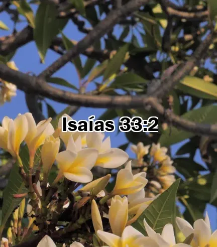 Isaías 33:2