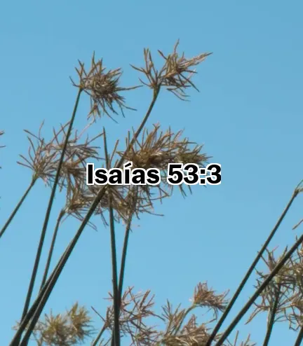 Isaías 53:3