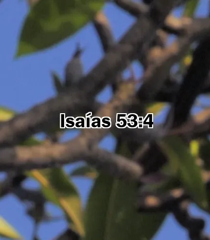 Isaías 53:4