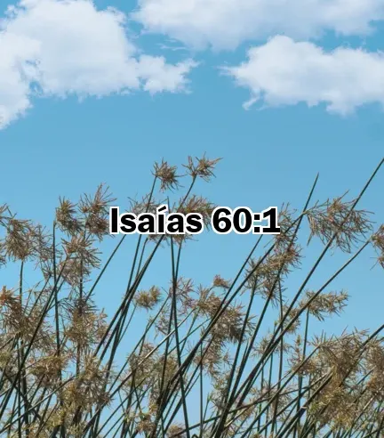 Isaías 60:1