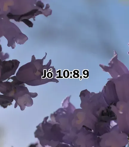 Jó 10:8,9