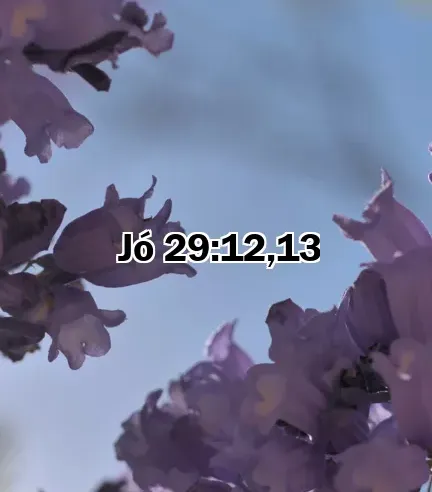 Jó 29:12,13
