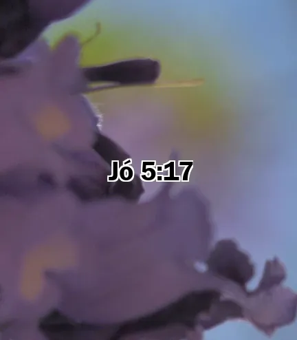 Jó 5:17
