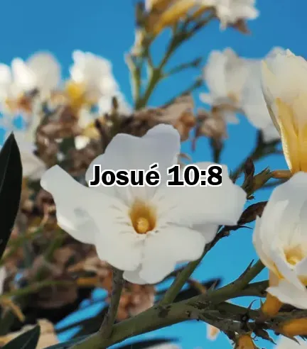 Josué 10:8