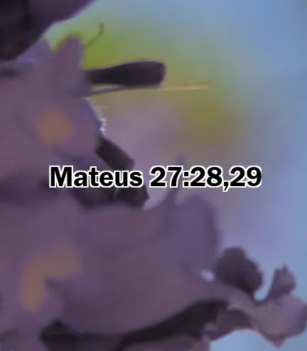 Mateus 27:28,29