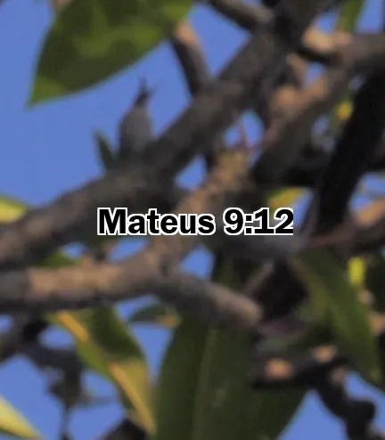 Mateus 9:12