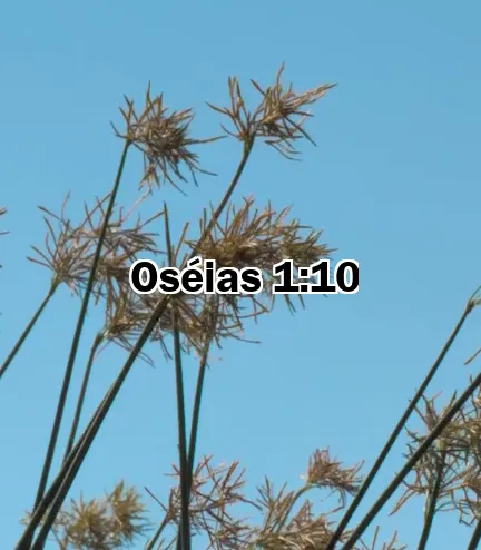 Oséias 1:10