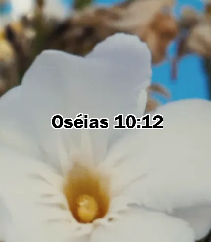 Oséias 10:12