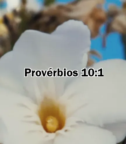 Provérbios 10:1