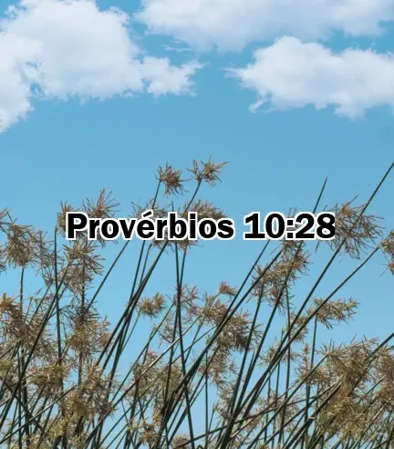 Provérbios 10:28