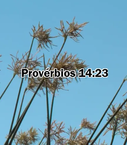 Provérbios 14:23